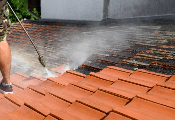 Best Pressure Washing Company Near Me  in Shirley, NY