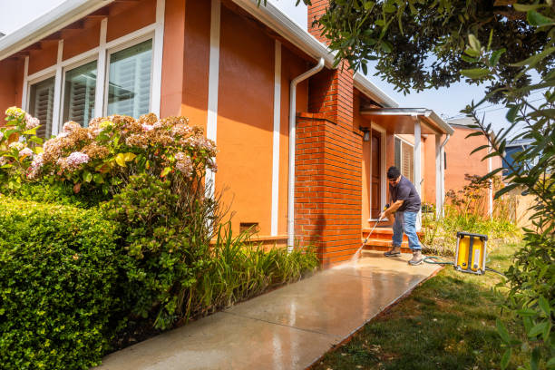 Best Best Pressure Washing Companies  in Shirley, NY